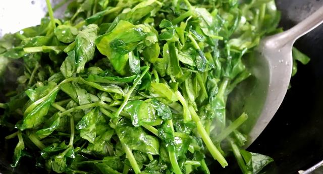 凉菜龙须菜怎么种植，龙须菜到底是什么菜