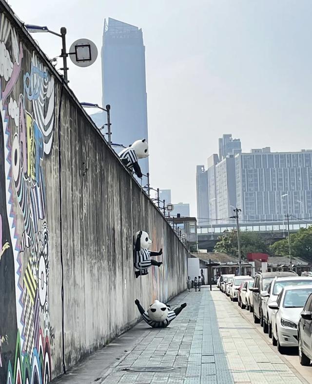 安徽省会，越来越好玩了｜地球知识局