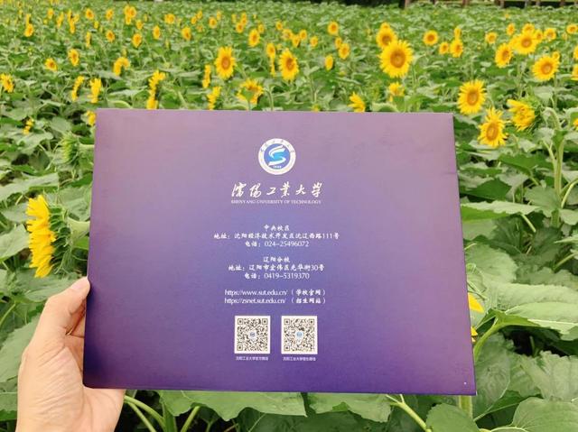 沈阳工业大学官网是一本吗，超高颜值新鲜出炉