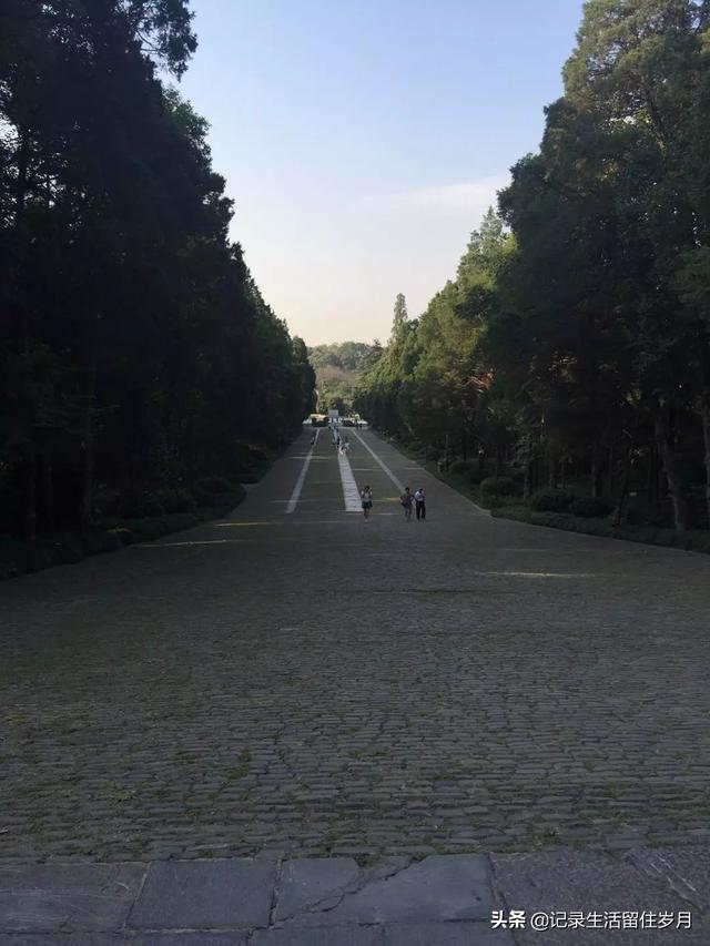 南京小众景点紫金山，登南京紫金山游记