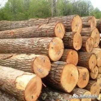 适合地热的实木地板板材，极地阳光带你探索深山选择发热地板的好木材