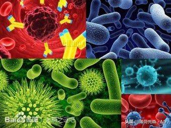 图文直播神秘世界999个未解之谜，世界未解之谜神秘地方