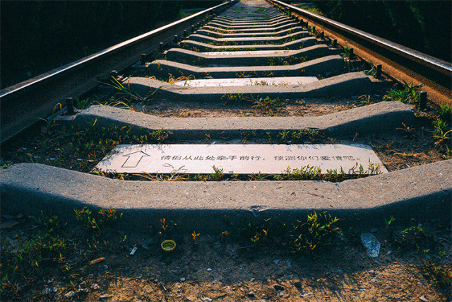 郑州周边免费景点，郑州最近免费旅游景点大全（不出郑州的8个赏花遛娃地）