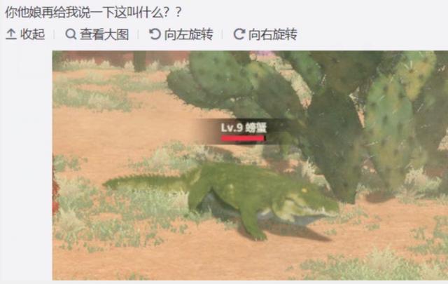 ff14网页版官网，《FF14》官网更新6.1版本截图