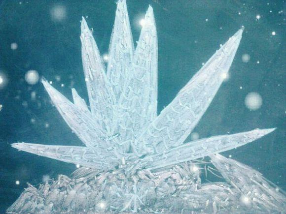 斗罗大陆中最稀有的防御系武魂，史莱克七怪遭遇大危机