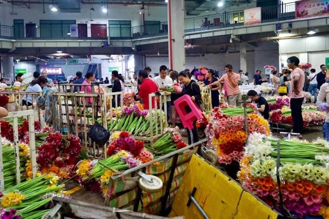 便宜又实惠的鲜花市场，打卡全国最大的鲜花批发市场