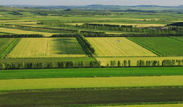 美国中部大平原，美国平原面积（你知道美国陆地海拔最高和最低的地方）