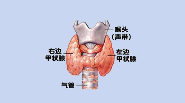 糖尿病低t3(糖尿病低糖了吃什么)