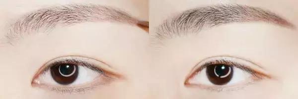 每一个人的脸长相都像明星，你喜欢那个明星的脸形