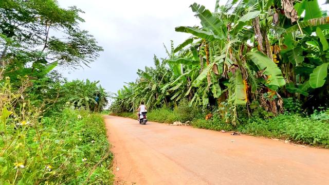 硇洲岛旅游攻略，湛江硇洲岛景点（探秘南极村+硇洲岛+东海岛+特呈岛）