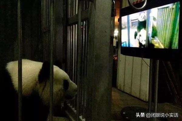 动物的8个有意思的性知识，懂很多关于动物知识的人