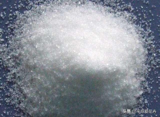 兰花不开花抓住2个，兰花怎么开花快速爆盆