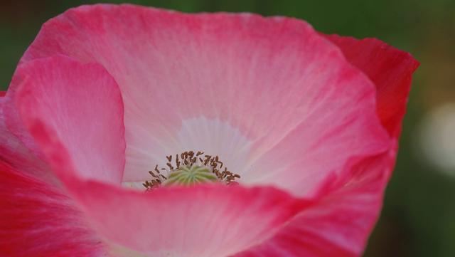 奥林巴斯em1，奥林巴斯em1mark3测评