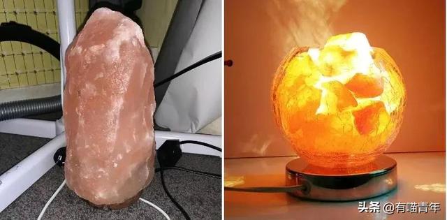 绿萝对猫有毒吗，猫咪吃了一口绿萝