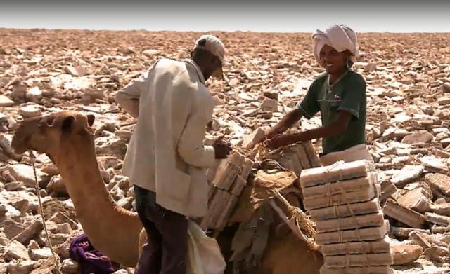 最耐热的非洲部落，非洲的地势特点和最大的沙漠