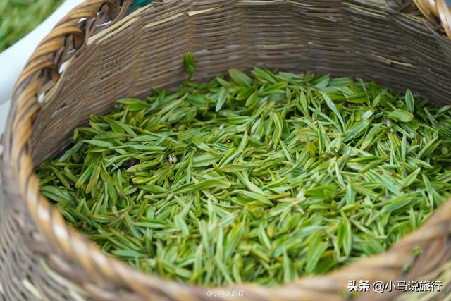 正宗西湖龙井茶园，杭州著名的龙井茶村