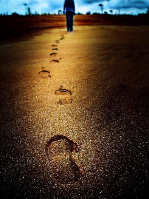 路漫漫其修远兮的含义是什么意思，路漫漫其修远兮