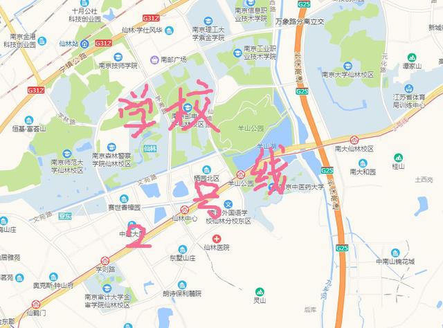 逛南京江宁大学城攻略，“江宁大学城半马”赛前全攻略