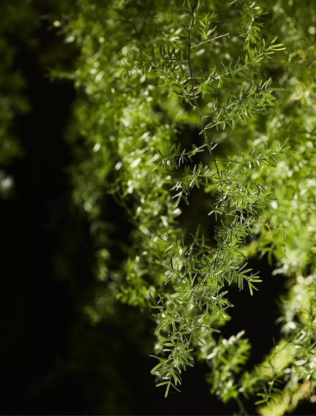 国外最顶级设计公司，很值得学习的国外一线设计公司