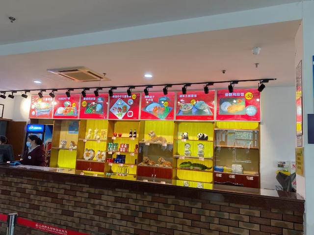 上海野生动物园攻略一日游，上海野生动物园的出游指南