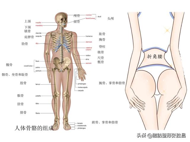 腰部肥胖抽脂(腰部肥胖抽脂有用吗)