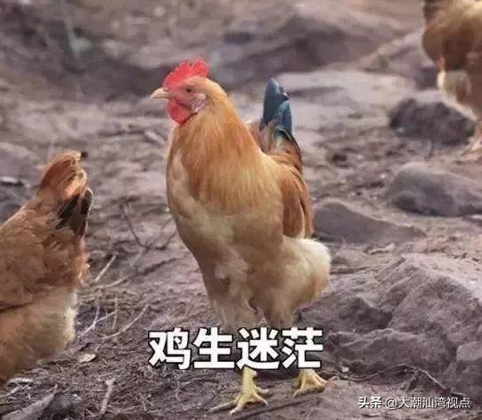 广东人的文化习俗，广东新年的传统习俗