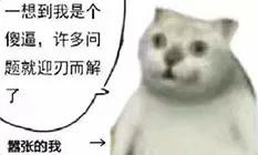 表情包很火的那只猫，最近很火的猫猫表情包（小猫咪可爱表情包）