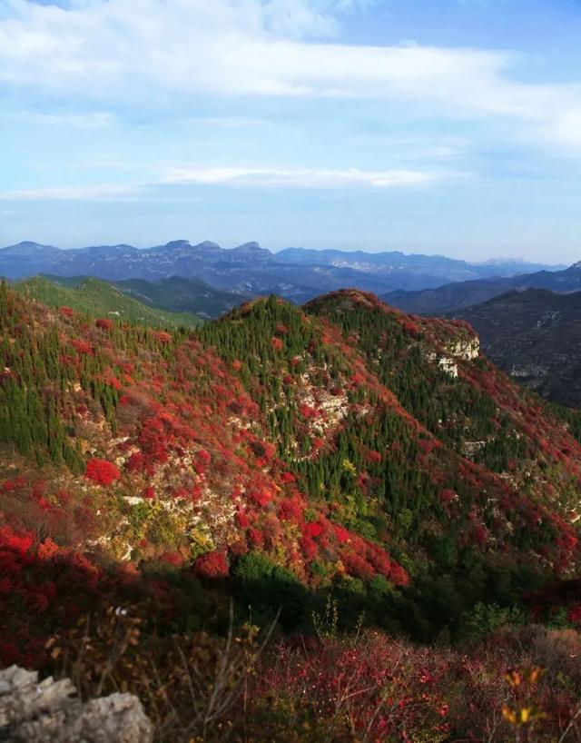 沂水打造5a景区，沂水县沂蒙花开旅游区成功创建国家4A级旅游景区