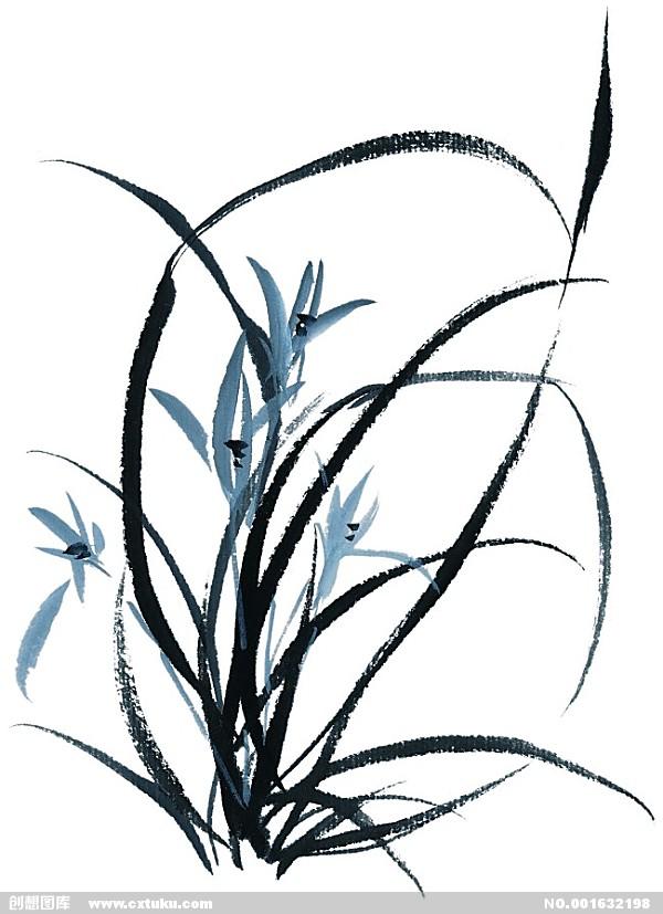 梅兰竹菊的含义，梅兰竹菊分别代表着什么意义（家中养“5种竹”）