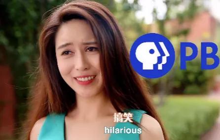 cctv主持人，最美cctv主持人（央视再也见不到的4位主持人）