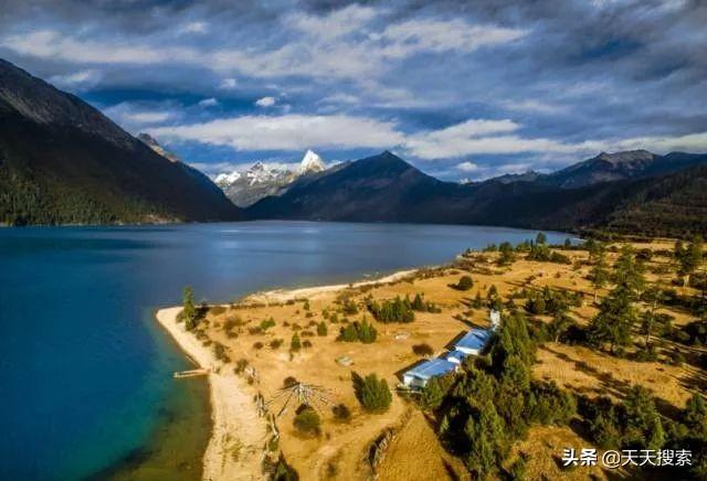 姬松茸十种吃法，林芝松茸的一万种