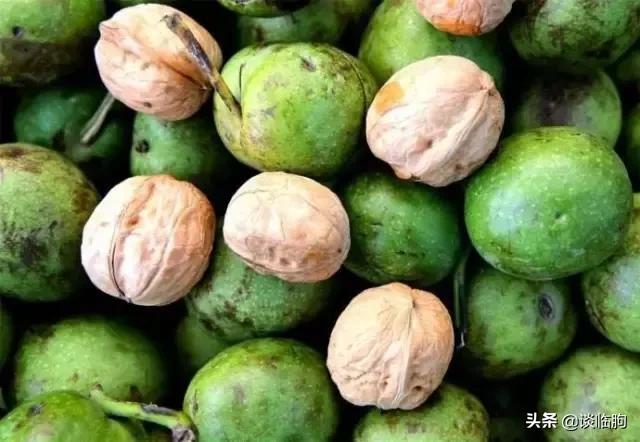 嵩山风景区一日游，又到春天旅游季