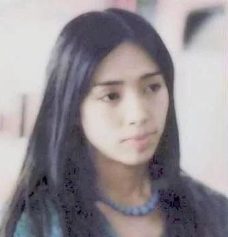 许纯美现在在哪里，2003年5婚5离的许纯美