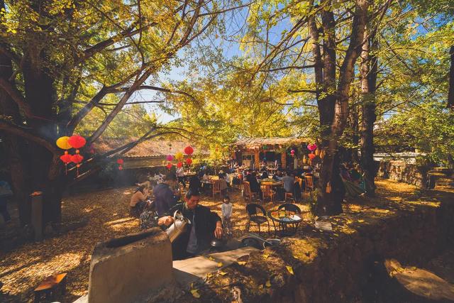 十一假期出游可畅玩银杏湖乐园，湖光山色风景迷人