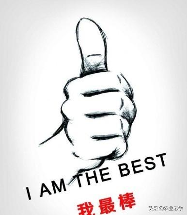 农村农田常见的施用肥料有哪些，越来越广泛被果农使用的肥料是什么