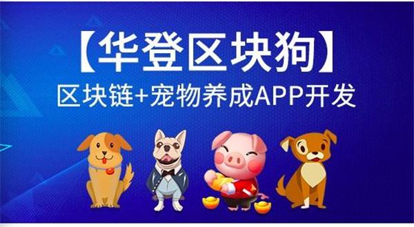 区块狗能维持多久，区块狗改名徕氏狗