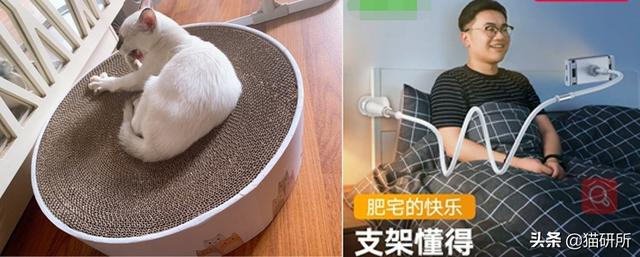 猫咪比较好的零食，提高猫咪生活质量