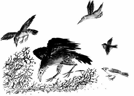 单立人字旁的字，单立人为偏旁的常用字