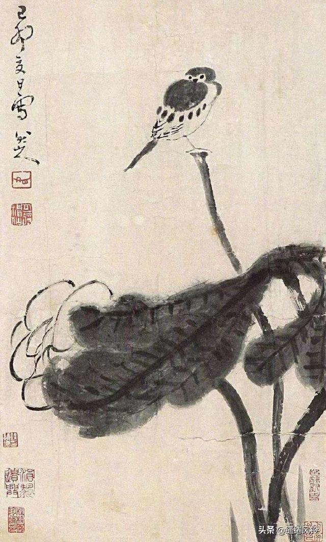 雪个，对八大山人朱耷的评价