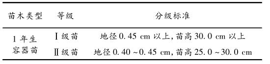杉木苗的品种，龙岩杉木和米老排种子上太空