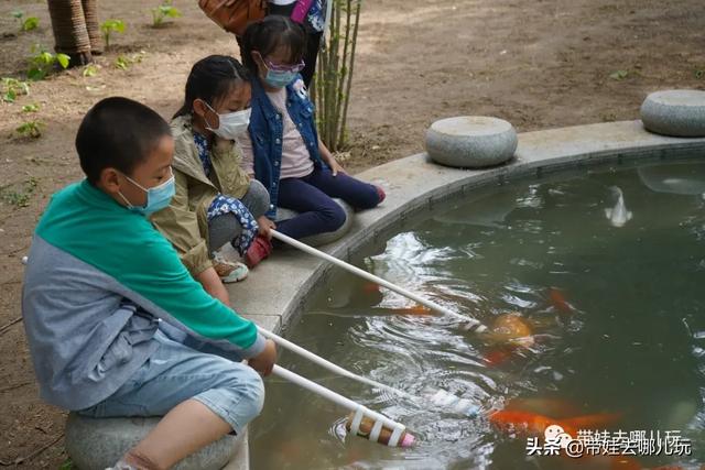 南宫旅游十大必去景点，假日乡村打卡丨夏日来南宫看民族主题花车巡游