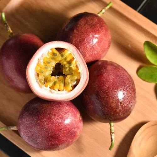 相见恨晚的5大珍果，四季珍果（相见恨晚的5大水果）