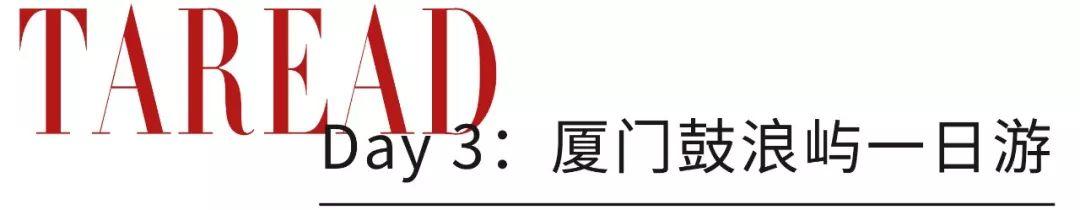 厦门鼓浪屿住宿，想来鼓浪屿毕业旅行（厦门鼓浪屿里面住宿）