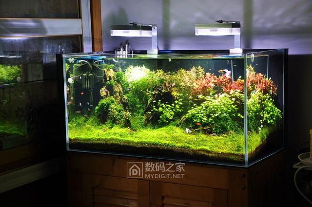 小型太阳能发电系统，家用太阳能发电系统介绍（看看无良公司是如何欺骗农户的）