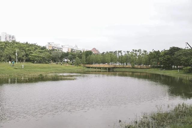 深圳游玩攻略必去的地方免费，7个遛娃好去处全免费