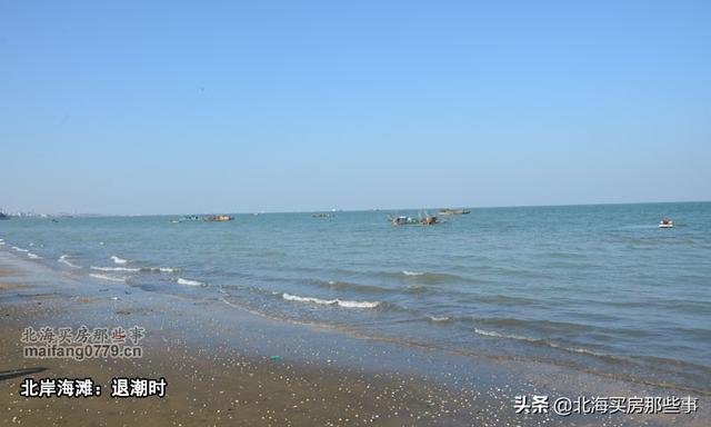 北海看潮汐表赶海，北海本地人外地人都需要的看海神器