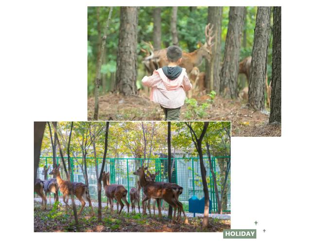 金坛茅山景点介绍，金坛茅山人气爆棚