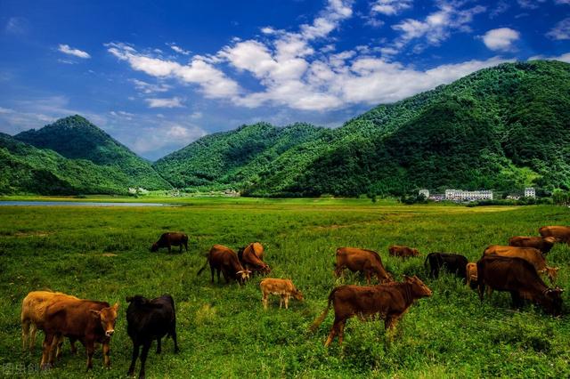 神农架怎么旅游最好，最全神农架旅行攻略
