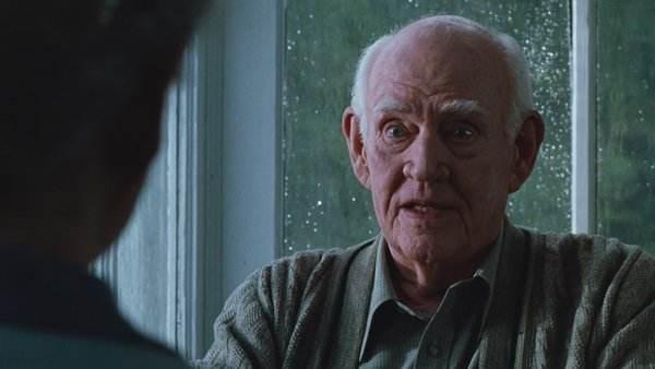 为什么越来越喜欢绿里奇迹，绿里奇迹所谓奇迹