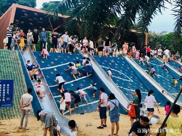 深圳宝安最美打卡点，深圳西湾红树林攻略